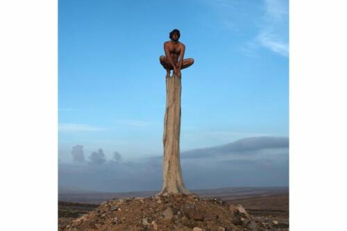 618515ecd1399_homme-arbre1