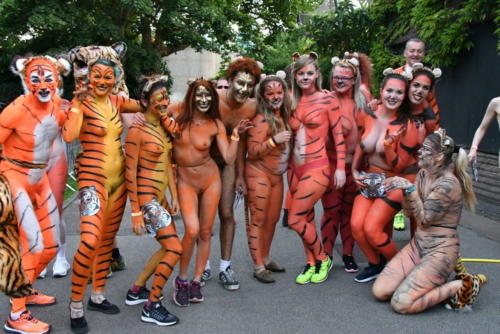 streak_for_tigers_various_years_038