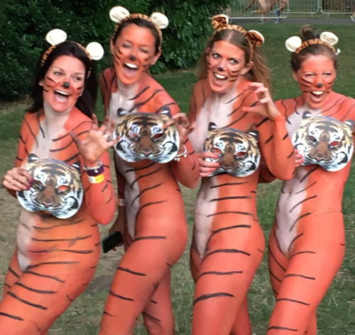 streak_for_tigers_various_years_045