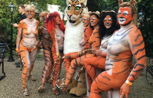 streak_for_tigers_various_years_046