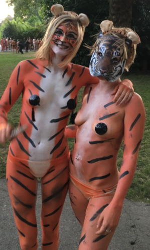 streak_for_tigers_various_years_047