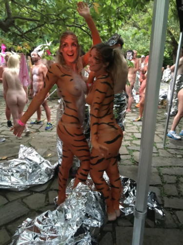 streak_for_tigers_various_years_049