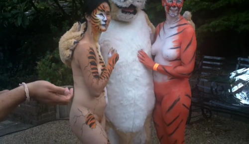 streak_for_tigers_various_years_052