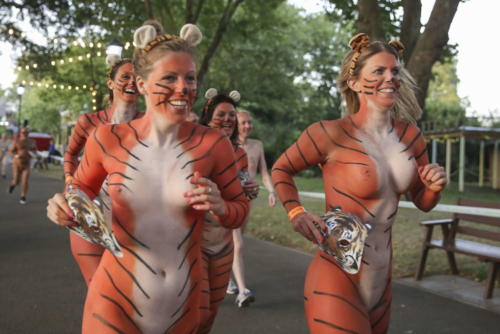 streak_for_tigers_various_years_055