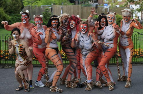 streak_for_tigers_various_years_056