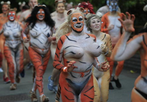 streak_for_tigers_various_years_057