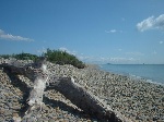 La plage naturiste