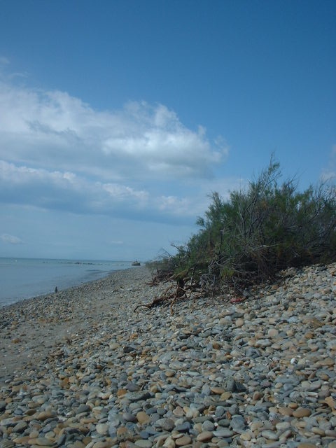 La plage naturiste