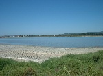 Les étangs