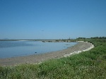 Les étangs