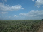 Vue de l'étang de Pisse vache / site naturel de l'Oustalet  