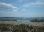 Etang à droite du chemin menant à la plage