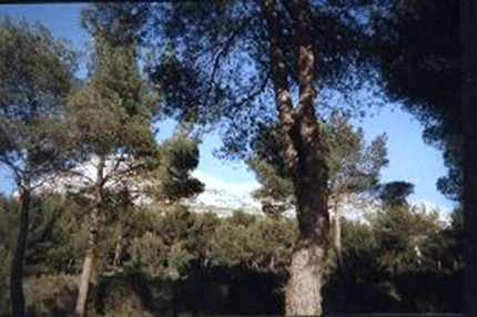 calanques Sugiton