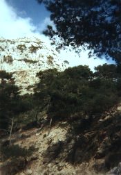 calanques Sugiton