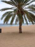 Vue en Hauteur des Pierres Tomb�es